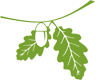 View Website