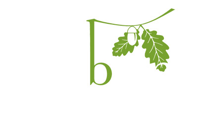 View Website